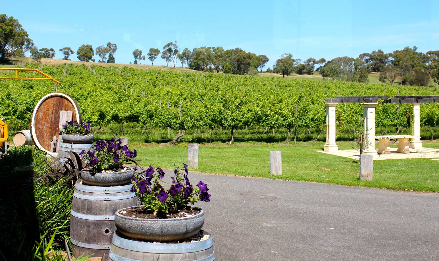 Yarra Valley Wine Tours - Best Yarra Valley Winery Tours - City Hire Cars