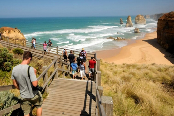 Viewing the 12 Apostles on the great Ocean Road Tour
