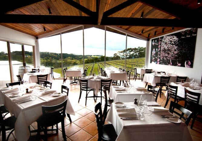 Red Hill wine tasting and restaurant